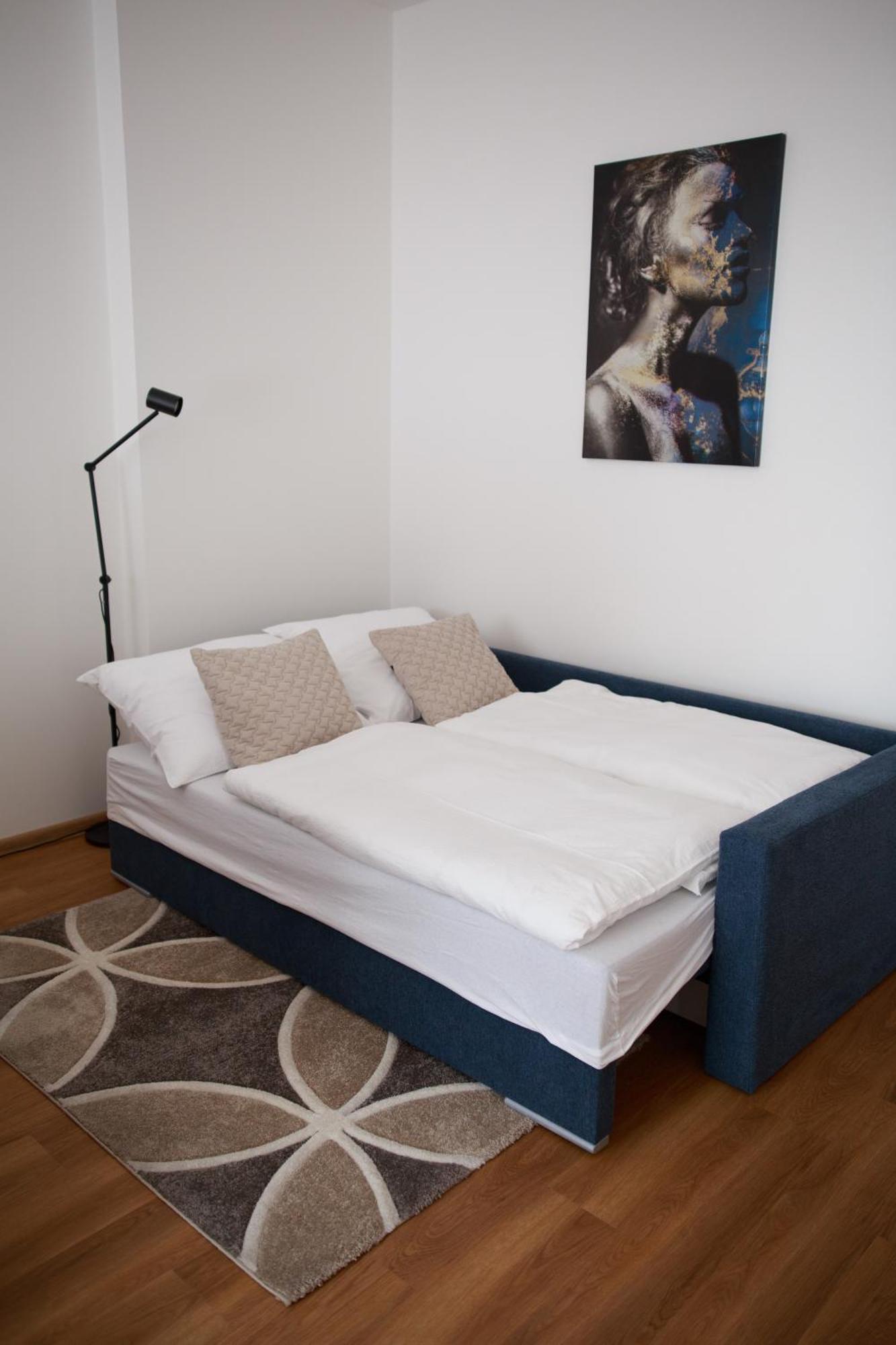 Apartment Dita 卡罗维发利 外观 照片