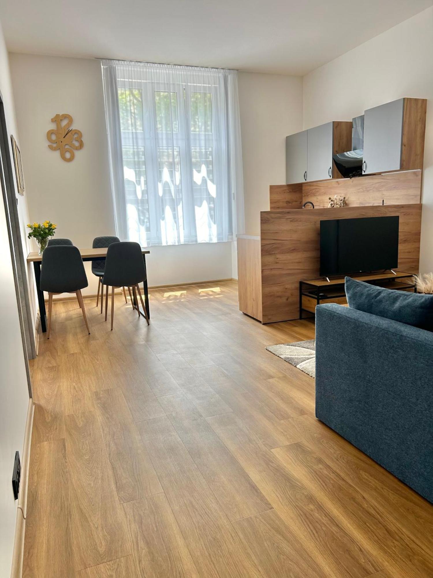 Apartment Dita 卡罗维发利 外观 照片