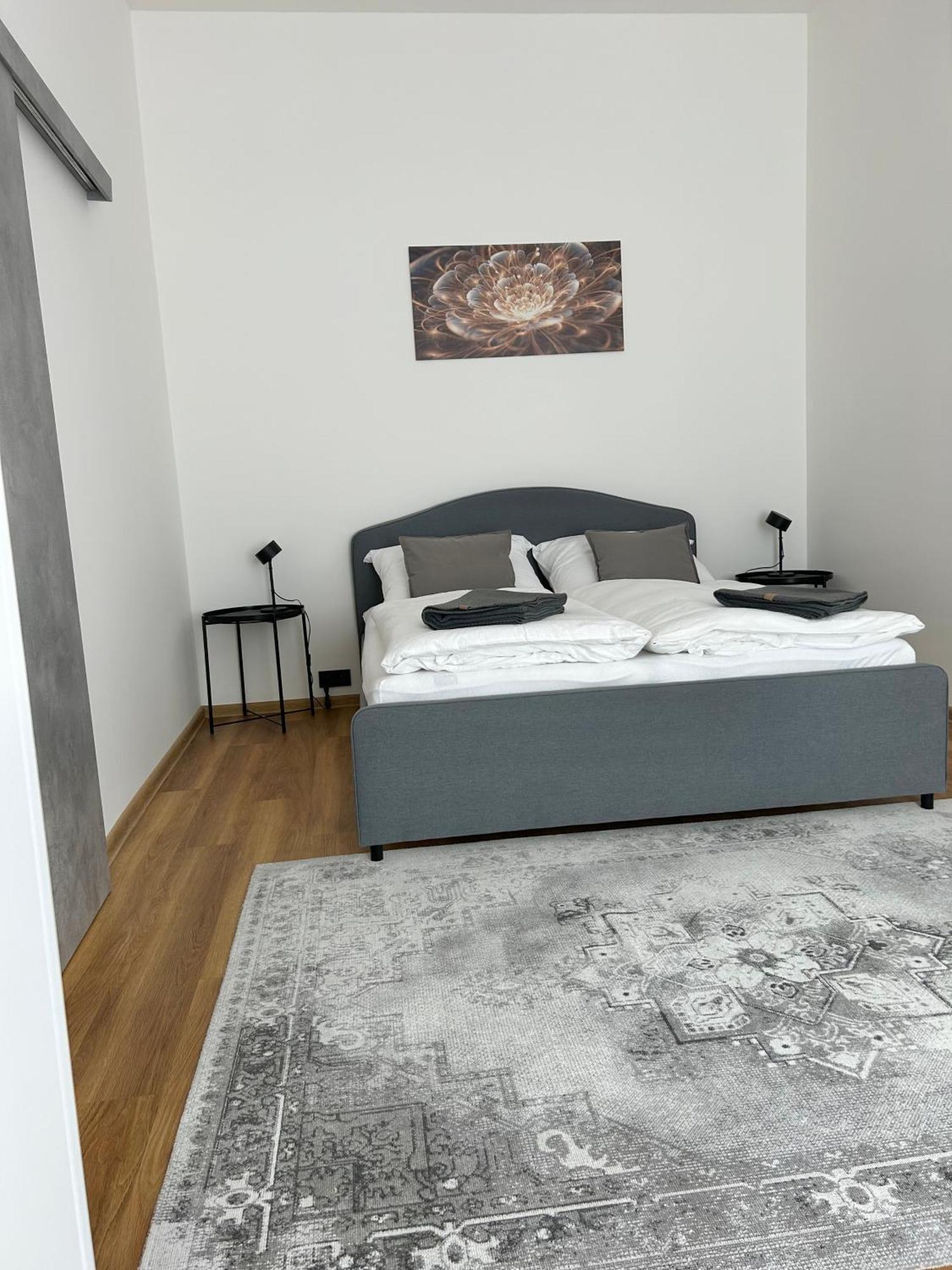 Apartment Dita 卡罗维发利 外观 照片