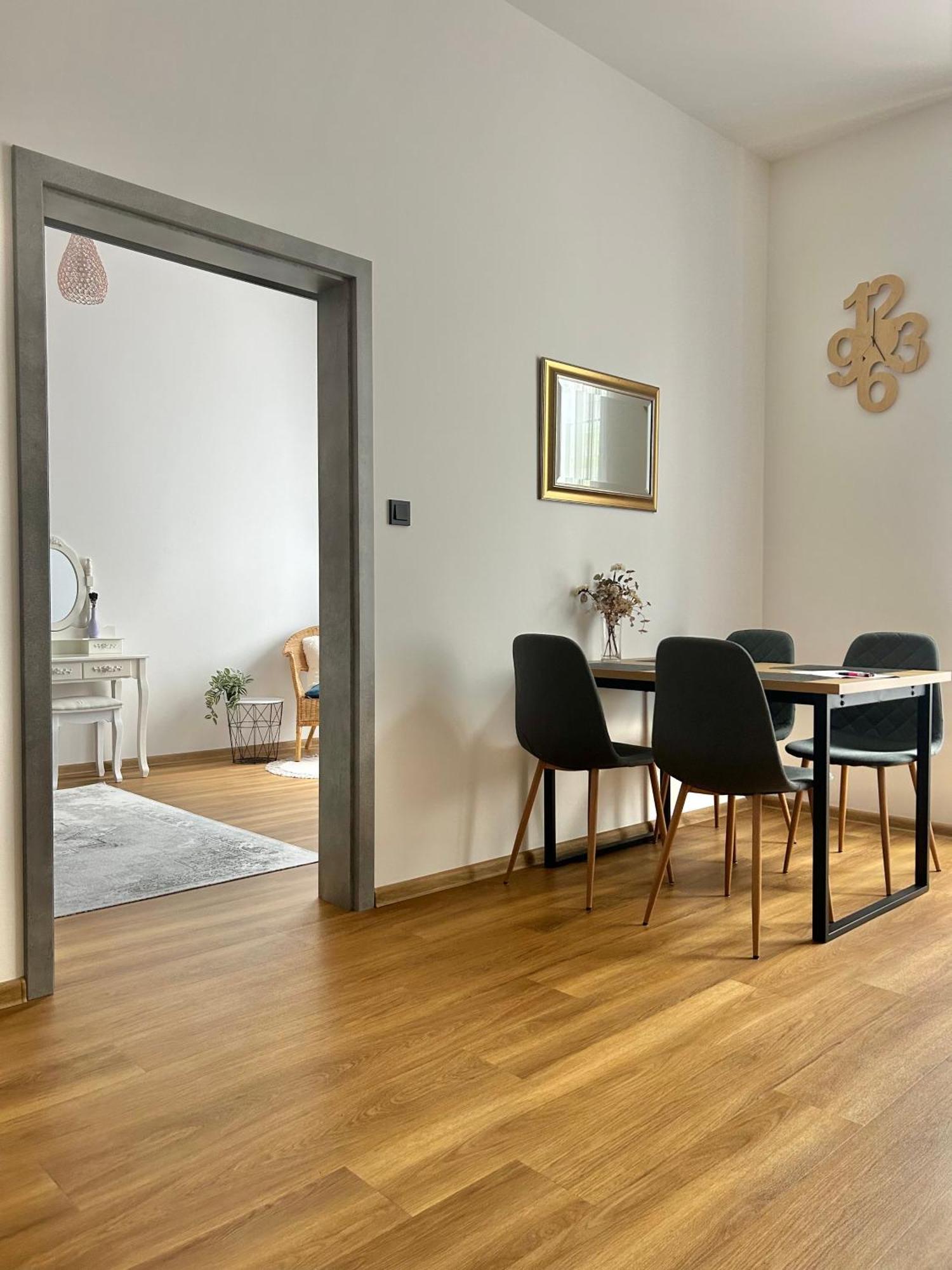 Apartment Dita 卡罗维发利 外观 照片